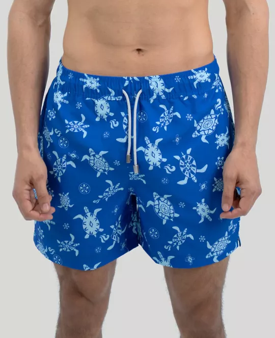 Blue Turtling